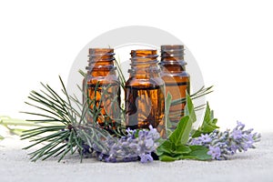 Aroma Oil in Bottles with Lavender, Pine and Mint