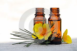 Aroma Oil in Bottles with Pine and Flower photo