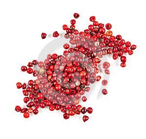 Aroma  spice red pepper is scattered on a white isolated background. Top view