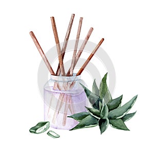 Aroma sticks with aloe vera extract. Watercolor hand drawn illustration