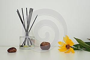 Aroma sticks in a glass cubic vase with essential oils. White background. Yellow Jerusalem artichoke flower on the table