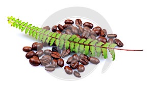 Aromated natural coffee beans photo