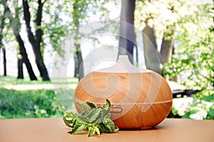 Aromatherapy with a diffuser and mint