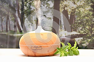 Aromatherapy with a diffuser and mint