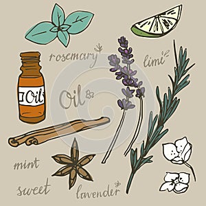 Aromatherapy elements vector set