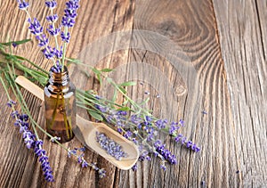 Aromatherapy and essential oil, herbal natural cosmetics, alternative medicine and phytotherapy concept.