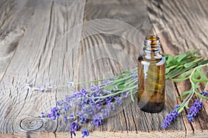 Aromatherapy and essential oil, herbal natural cosmetics, alternative medicine and phytotherapy concept. Bunch of lavender flowers