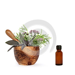 Aromatherapy Essential Oil Herbs