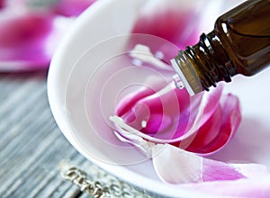 Aromatherapy Essential Oil