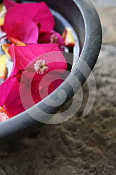 Aromatherapy Flower Bowl