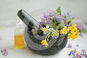 Aromatherapy. Natural medicinal plants and herbs in a mojar with pestle, natural floral extracts and oils, natural oils photo