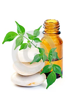 Aromatherapy oil