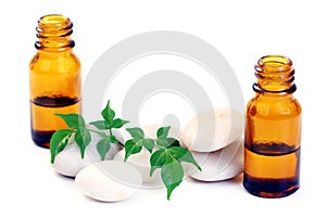 Aromatherapy oil