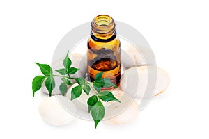 Aromatherapy oil