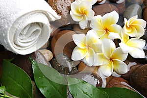 Aromatherapy spa