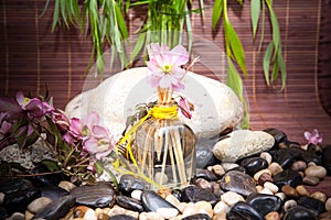 Aromatherapy, spa, beauty treatment and wellness background with massage stone, flowers, flacon.. spa concept