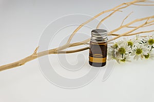 Aromatherapy Spa Concept , flower essence bottle decorated with