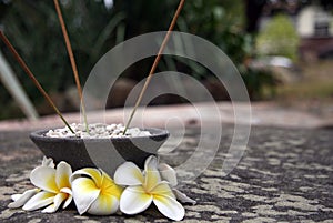 Aromatherapy sticks and magnolia flowers