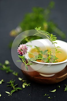 Aromatherapy with thyme oil and clover flower on dark background