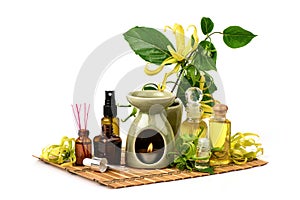 Aromatherapy with ylang-ylang flowers and essential oil burner on natural background