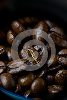 Aromatic coffee beans dark roast in a blue bowl macro photo