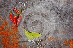 Aromatic dry herbs and spices on gray background