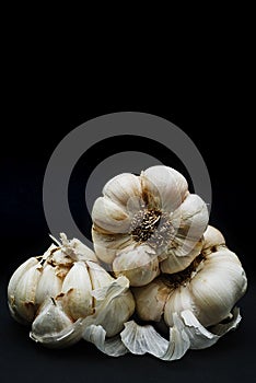 Aromatic garlic isolated on black.