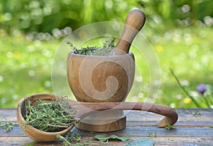 Aromatic herb in a woden mortar and spoon on a tabl