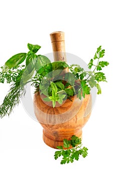 Aromatic herbs photo