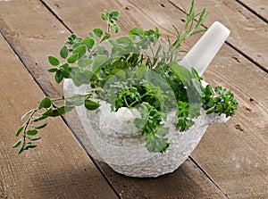 Aromatic herbs