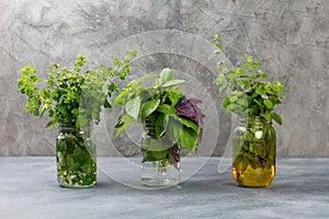 Aromatic herbs bunch, basil, mint and oregano