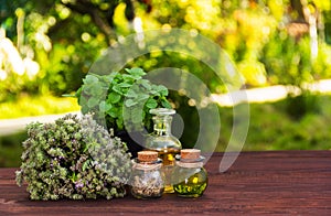 Aromatic herbs and essential oils. Natural cosmetics. Natural medicines. Peppermint and fragrant thyme photo