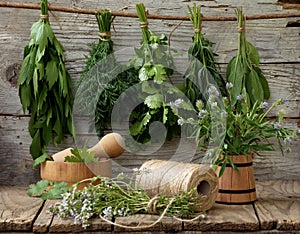 Aromatic herbs lovage, dill, cilantro, hyssop, sage, blue fenugreek, thyme