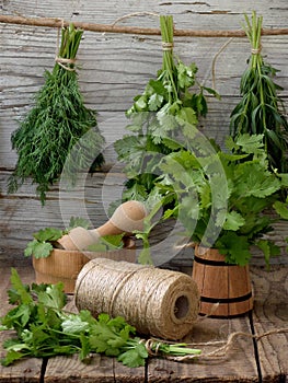 Aromatic herbs lovage, dill, cilantro, hyssop, sage, blue fenugreek, thyme