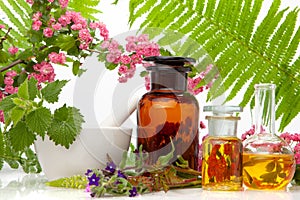 Aromatic Herbs With Mortar. Alternative Medicine