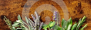 Aromatic herbs panoramic banner with copy space, shot from the top