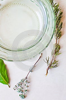 Aromatic herbs - sage, rosemary, bay leaf, basil, oregano, mint, thyme, cloves, anise