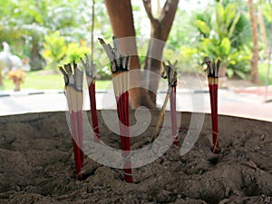 Aromatic incense burning used in temples to pray to Buddha.