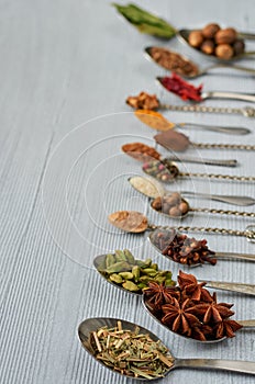 Aromatic Indian spices and herbs on metal spoons: star anise, fragrant pepper, cinnamon, nutmeg, bay leaves, paprika