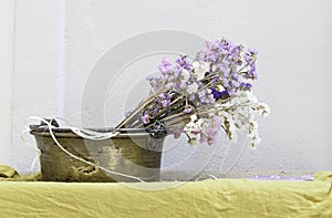 Aromatic lavender