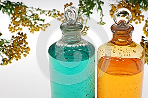 Aromatic oil and flowers photo