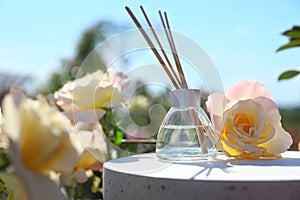 Aromatic reed air freshener and rose on white table in blooming garden. Natural essential oil