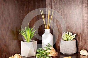 Aromatic reed diffuser between flowers on the shelf