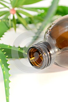 Aromatic spa oil photo