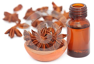 Aromatic star anise with essential oil in a bottle