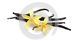 Aromatic vanilla sticks and flowers