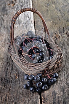 Aronia berries photo