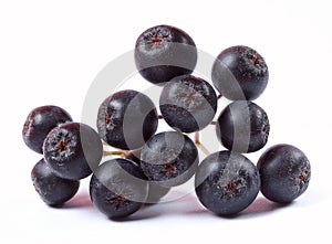 Aronia fruit on white background