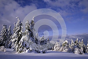 Around the Schlucht pass in the Vosges mountains in the Vosges department in France in winter