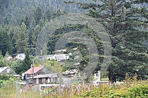 Around the village of Hoonah,at Icy Strait Point in Alaska photo